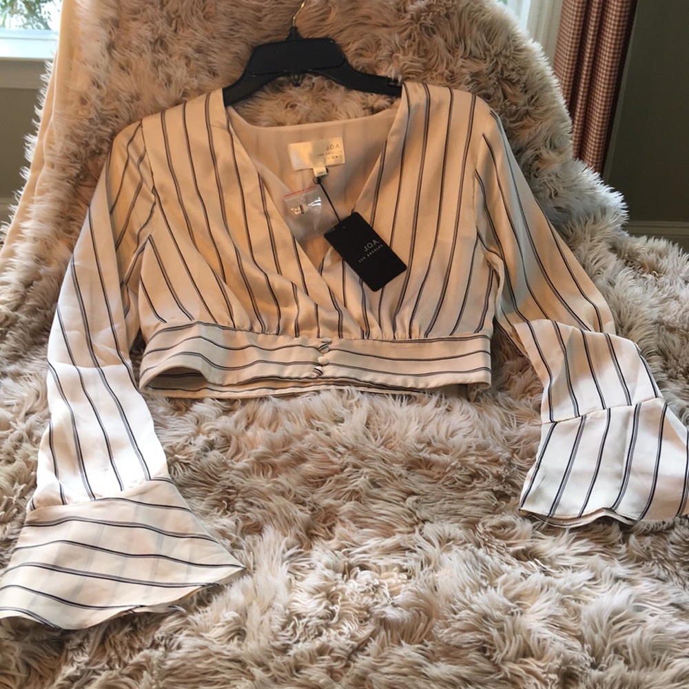 J.O.A. Los Angeles Satin Crop Top Blouse